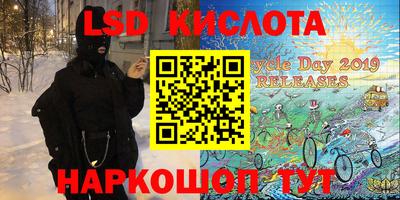 PSILOCYBIN Можга