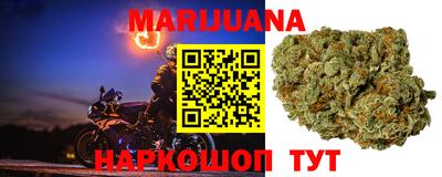 PSILOCYBIN Можга