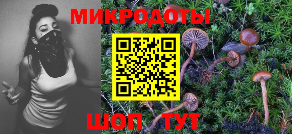 Галлюциногенные грибы мухоморы Шатура